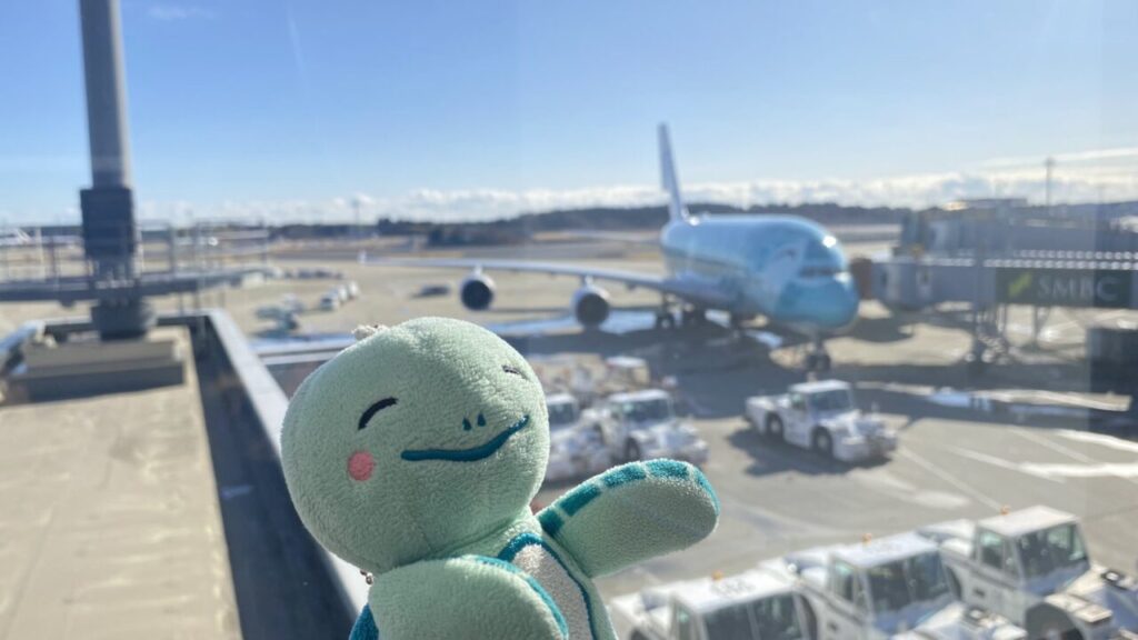 成田空港のターキッシュラウンジから眺めるFLYING HONUのカイ