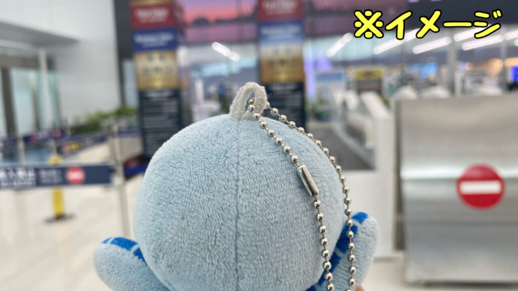 空港で失敗してしまうラニ(イメージ)