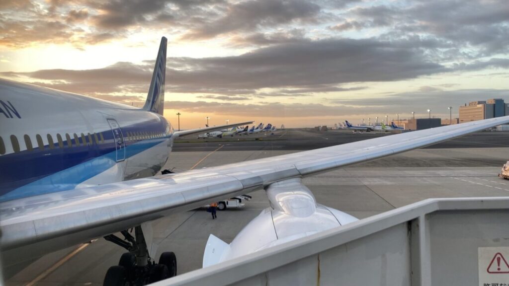 ANA844便から降機して本日の機体を眺める
