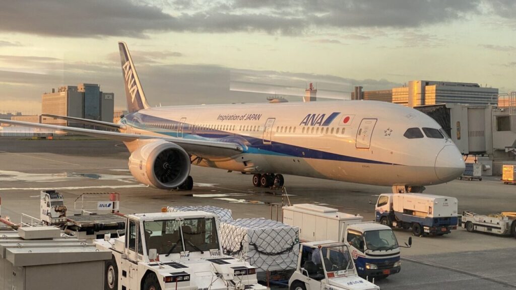 朝焼けに照らされるANAのB787-9
