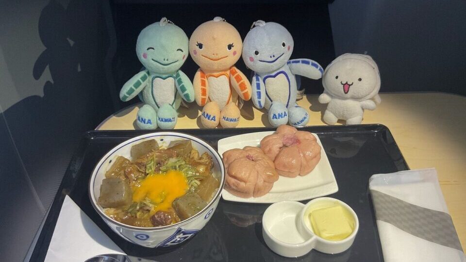 ANA829便のビジネスクラス機内食 ぼっかけ丼