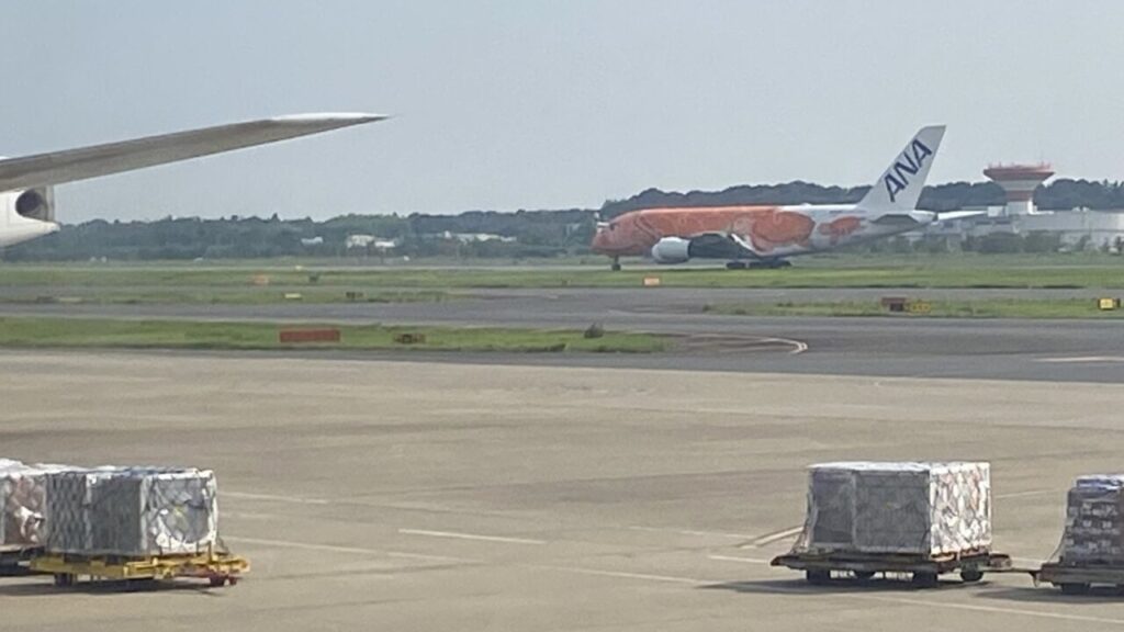 成田空港で機内から見えたFLYING HONU3号機ラー
