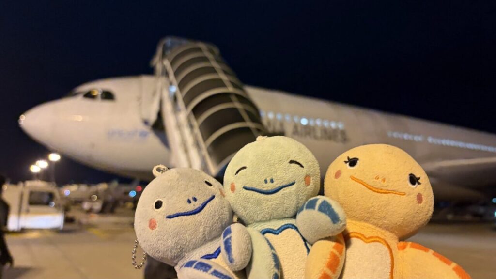 チェジュ空港でアシアナ航空A330へ地上から搭乗