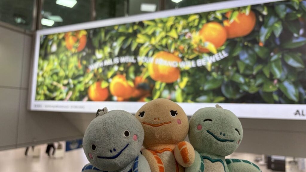 チェジュ空港のみかん