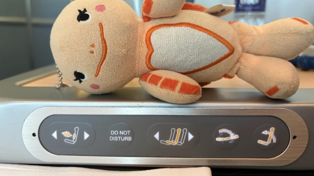 ANA802便ビジネスクラスの座席ANA STAGGERED SEATのコントローラー